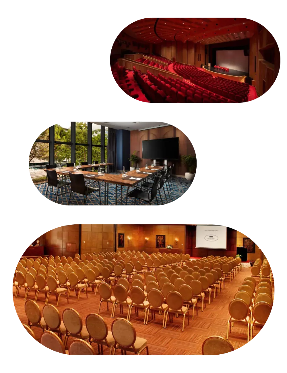 A red velvet auditorium, a meeting room with a long table, and a congress hall with rows of chairs.